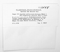 Image Associated With the Occurence